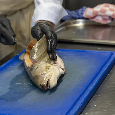 Am Reichswald מלון קרננבורג