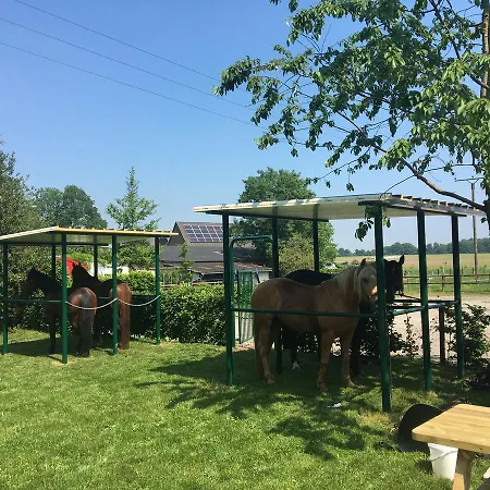 Hotell Am Reichswald Kranenburg (North Rhine-Westphalia)