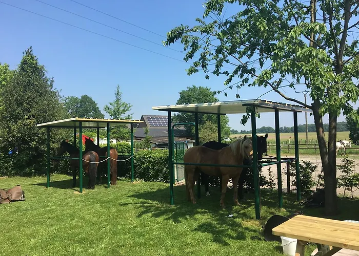 Hotel Am Reichswald Kranenburg (North Rhine-Westphalia)